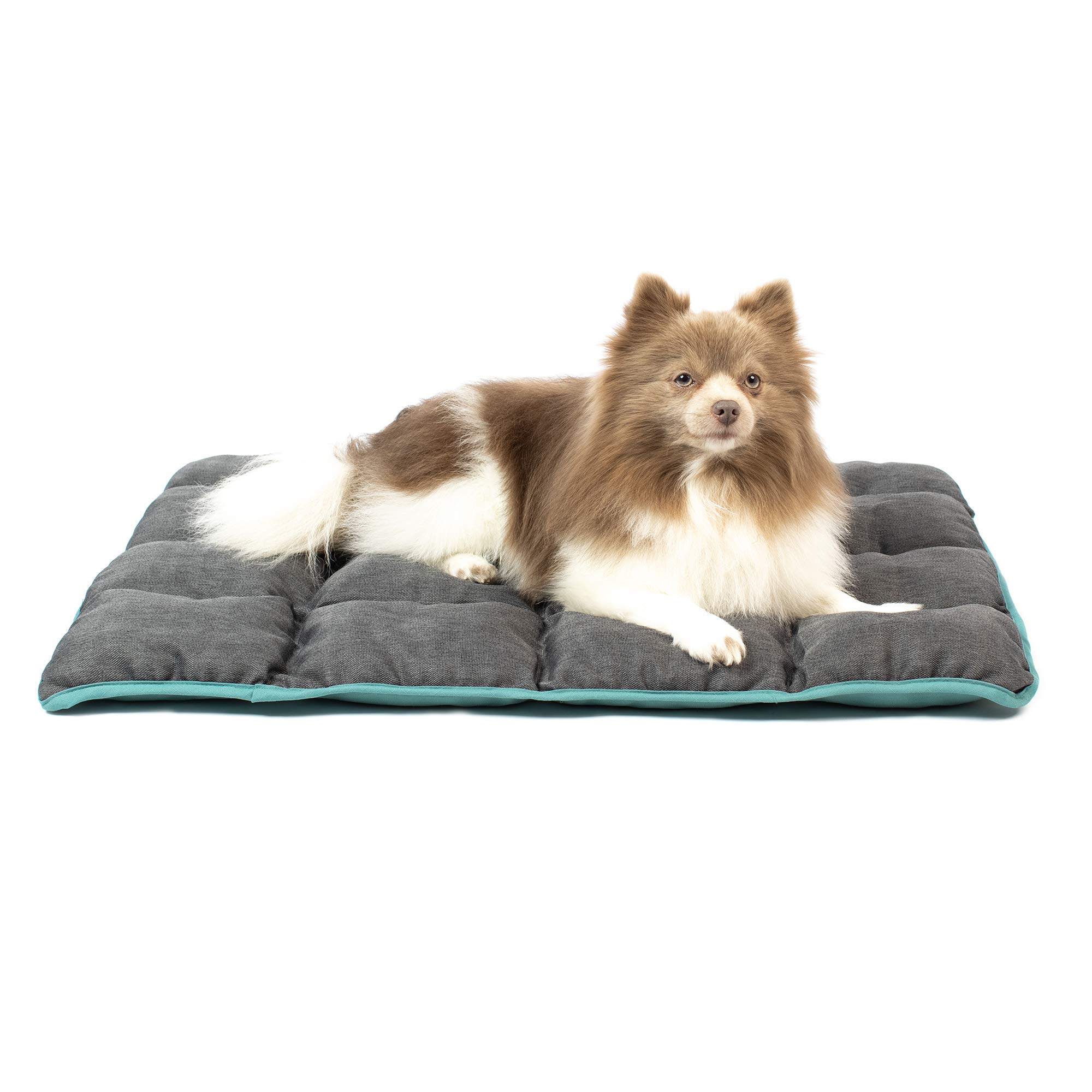 Amazon.com : Hyper Pet's Mega Mat Deluxe Durable Dog Bed